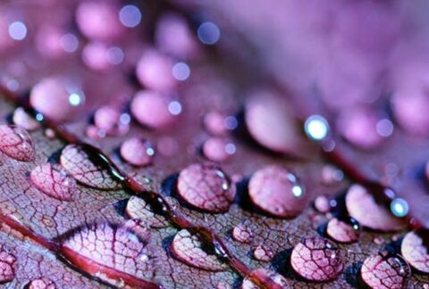 repeticion-patrones-sanacion-consciente