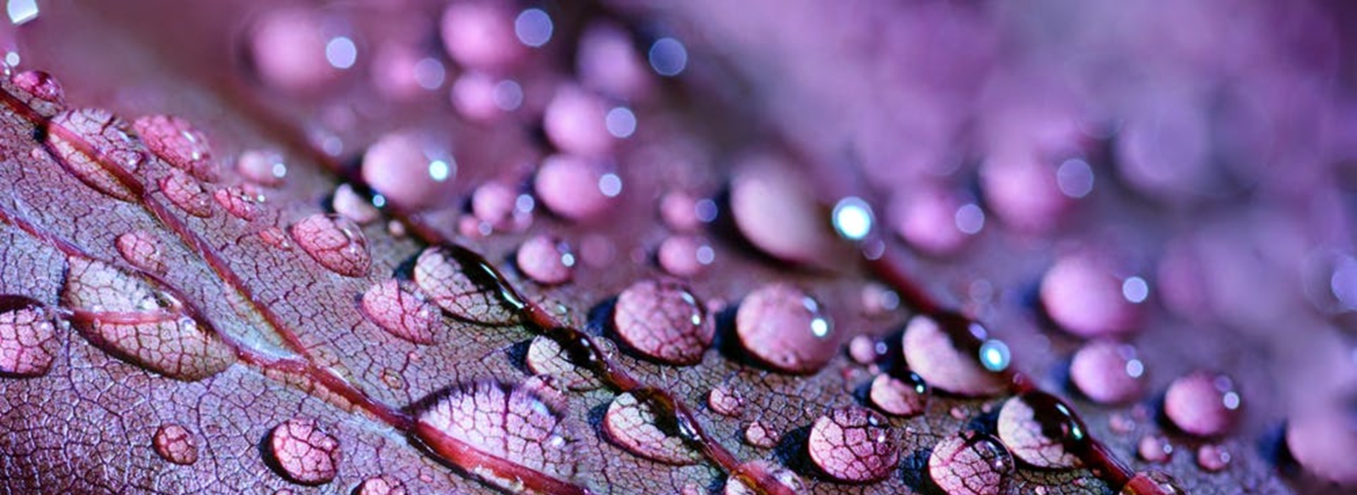 repeticion-patrones-sanacion-consciente